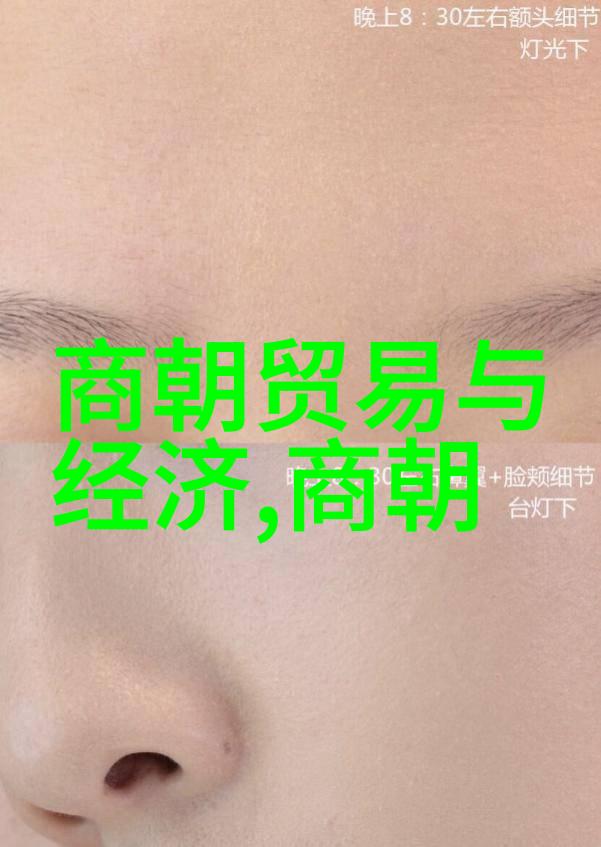 明朝那些事儿后记时间的裂缝中何去何从