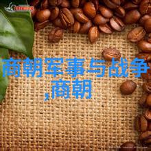 南朝宋顺序的错综