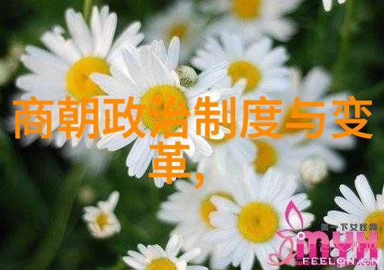 为什么蒙古帝国征服了亚洲和东欧的大部分地区而不是中国