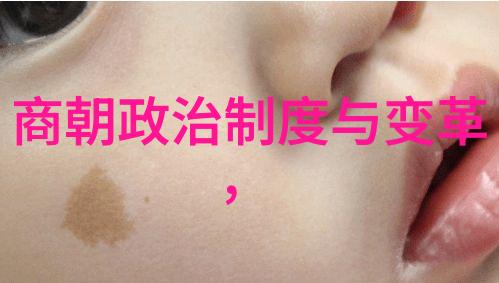 元朝历史典故简短忽必烈征服南宋到大都建成的故事