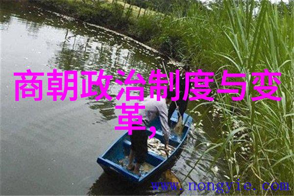 元代中央集权制度失效了它对国家命运有何影响
