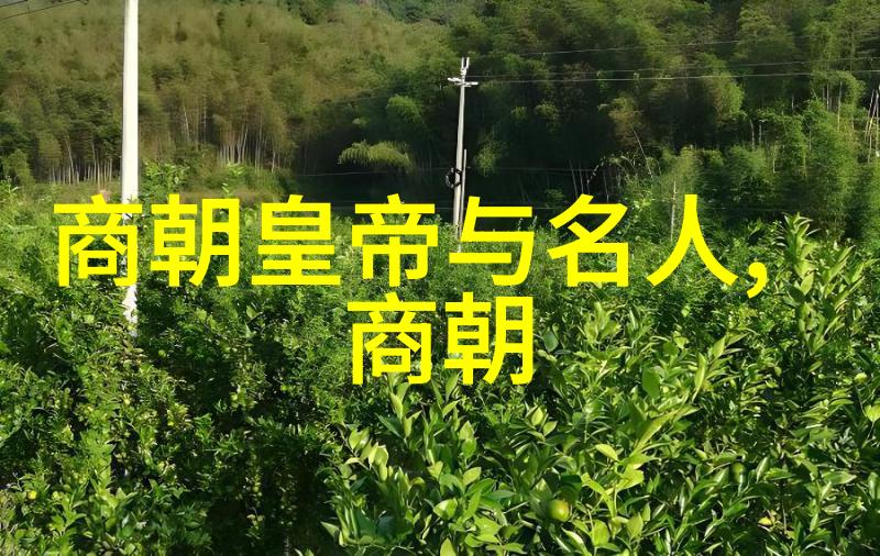 商容