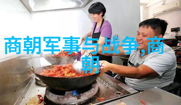 明朝历代探秘那些年从朱元璋到崇祯的兴衰盛衰