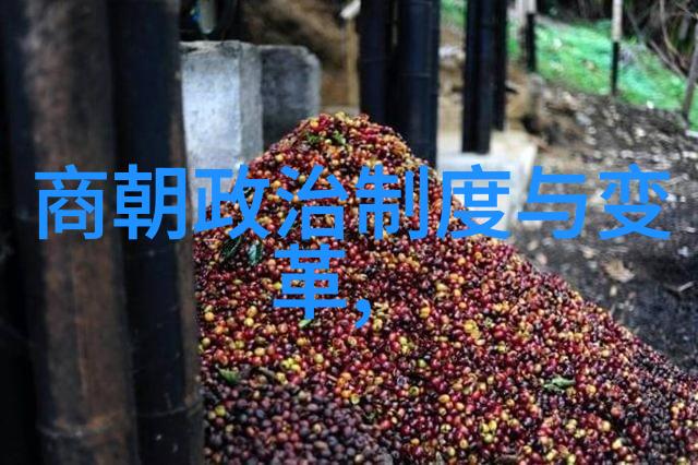 金朝历史上的第一个文臣元好问生平简介元好问是怎么考上状元的