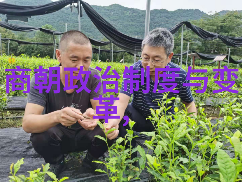 明代历史简介朝代轮回与中华文明的繁荣