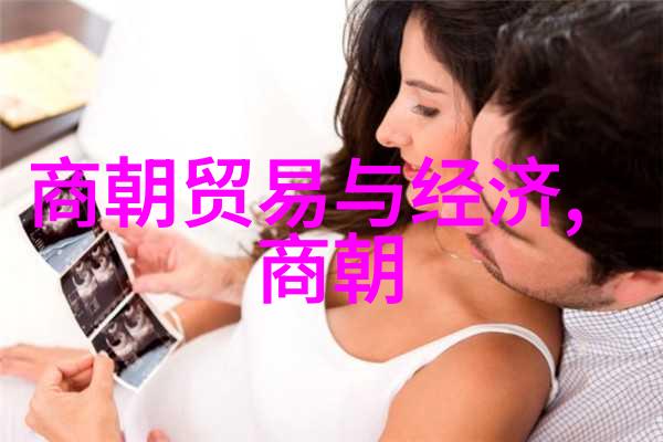 明朝的君主与高级官员人数考量