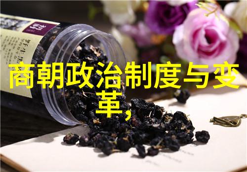 南宋皇帝世系及其政治成就