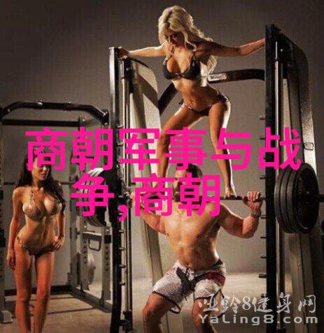 辽阔帝国的终结元朝衰亡之谜