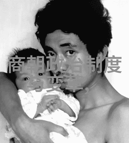 明朝风云龙凤呈祥与破晓曦光的交响曲