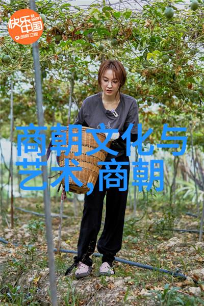 走进历史悟出人生明朝那些事的启示