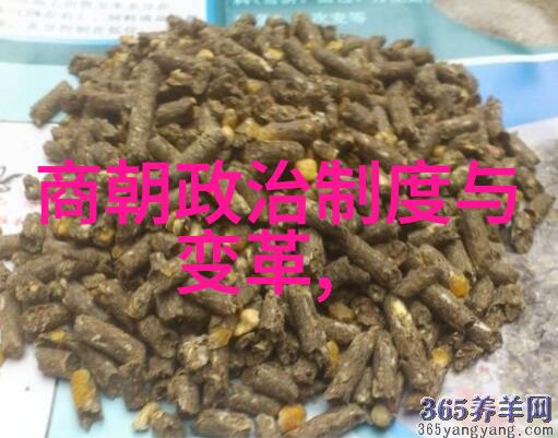 辽阔的时光探索元朝的千年足迹