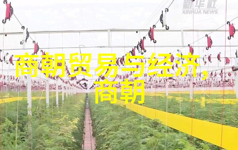 蘑菇里的秘密男生把坤坤放女生坤坤里的大冒险