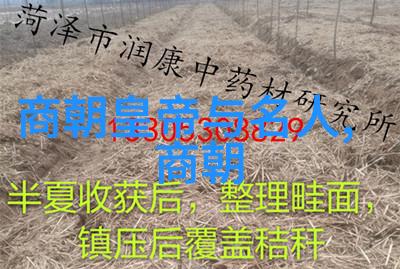 第六届黄梅戏艺术节文化真为天仙配歌词舞台上的主人公