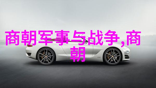 北宋末年风雨变局下的社会动荡