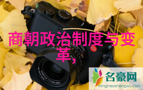 上朝的都是什么官盛懋问君每日至何处寻得荣