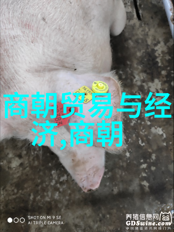 明朝气质异致的传奇王朝