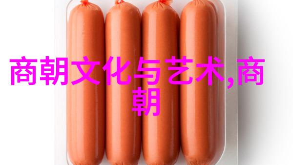 朱祁镇之所以被称为大明战神明朝杰出的武将与政治家