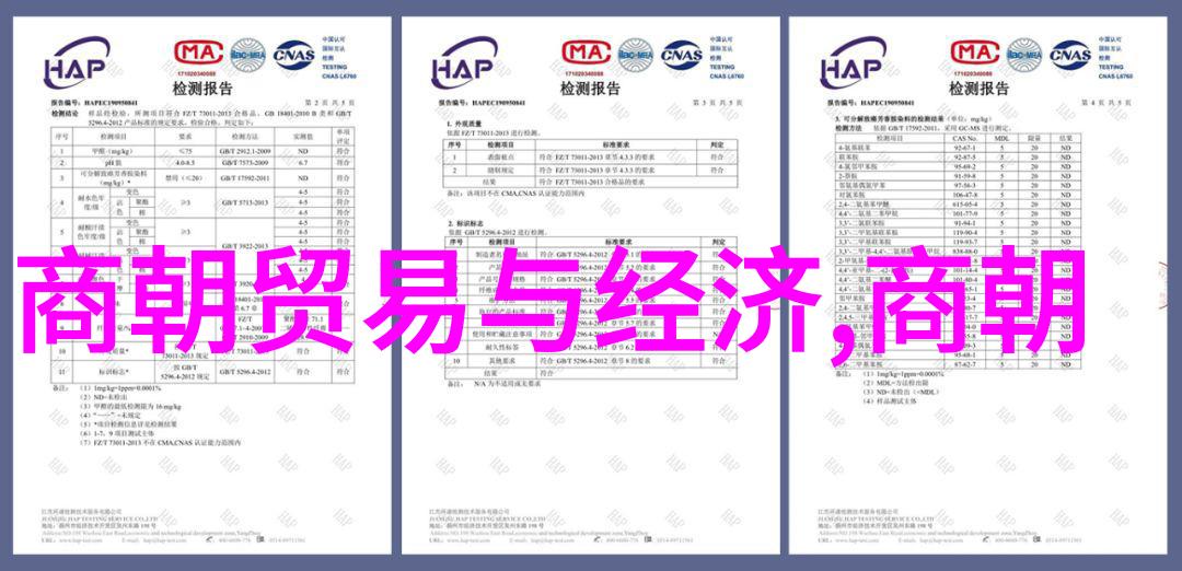 唐宋元明清古韵回响2019中国长沙WBA世界拳王争霸赛在长沙的自然风光中启动仪式隆重举行