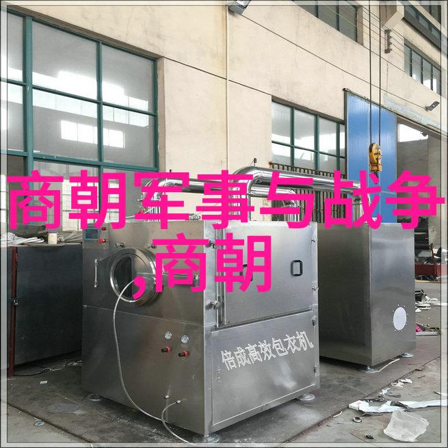 武丁是一个怎样的帝王武丁娶妻60人妇好最受宠幸