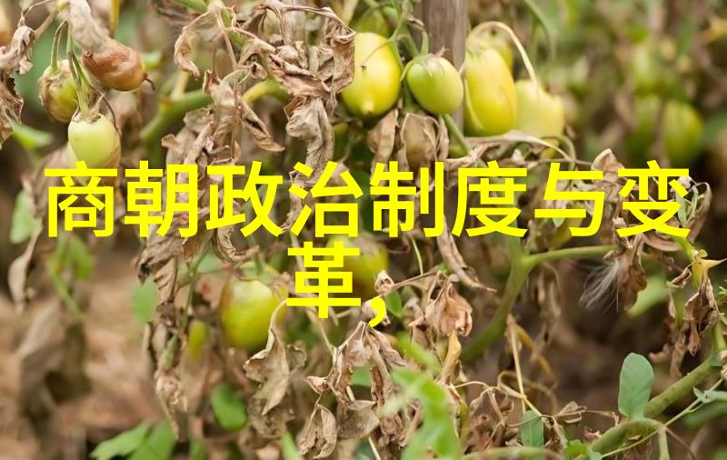 明朝人口盛况繁华之都的亿万众生