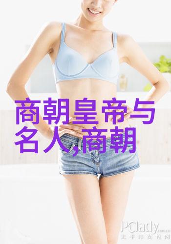 明朝大全从洪武至崇祯的盛世与衰败