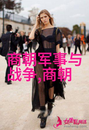 明朝政局与文化发展的辉煌从朱元璋到崇祯的一系列变迁