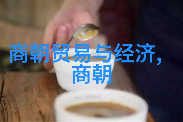 好看的元朝历史我眼中的辽阔帝国