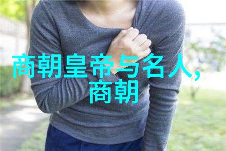 古今交辉中国朝代盛衰历程全览