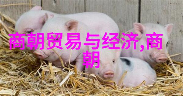 冯国璋军事策略大师的辉煌征途