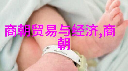 探索中国古代神话从龙凤呈祥到伏羲与女娲的传奇