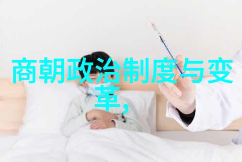 外族征服与中华文化的融合元朝政权的成立与影响