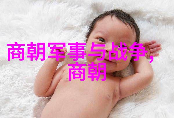 明朝时期重大变革明朝中后期的政治经济和文化变化