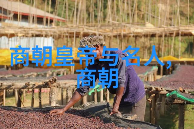 明朝历史解说我来告诉你一个关于明朝的有趣故事穿越时空的小偷与明宫里的秘密