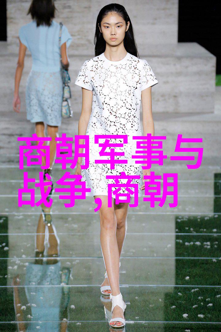 外来征服还是内政治理元朝的统治与其对待汉族身份的策略