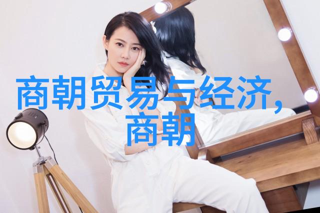 逆袭的龙椅清朝不屈不挠的领土守护者