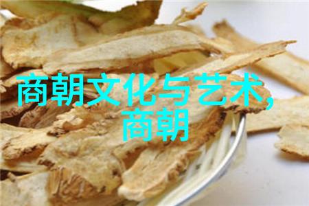 明末失踪皇帝朱允炆的神秘消逝