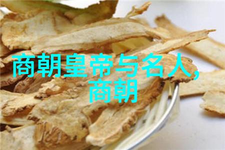 明朝那些事儿人物介绍穿越时空的神秘使者