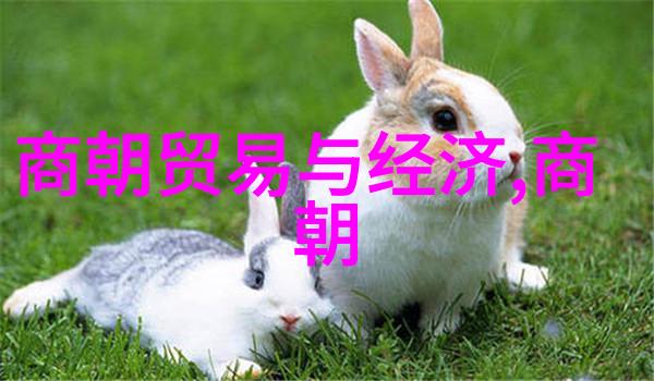 秦灭六国血雨腥风下的历史悲剧