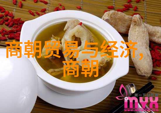 通过婚姻联姻理解明朝政治策略与国际关系