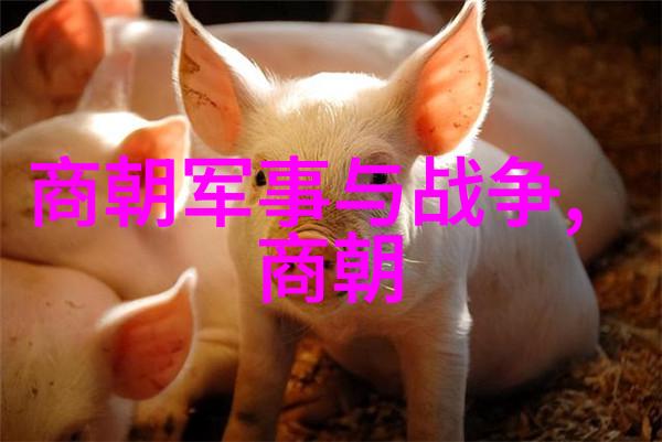 安庆黄梅戏艺术节女驸马韩再芬花间舞姿绽放如诗如画