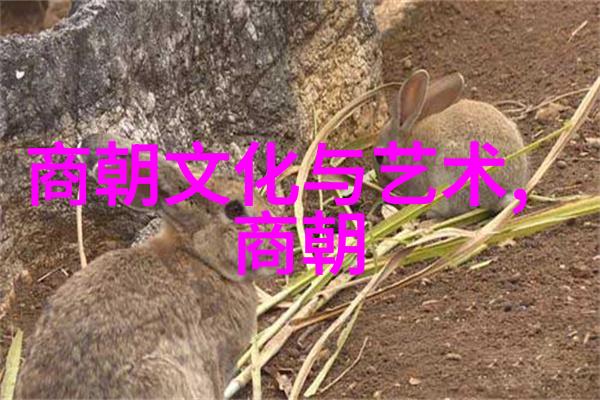 刘伯温为何仅封号伯刘邦与明朝的文化象征