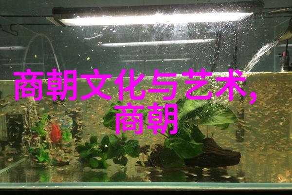 迈开腿让学长看看你-轻盈步伐里的自信昭示