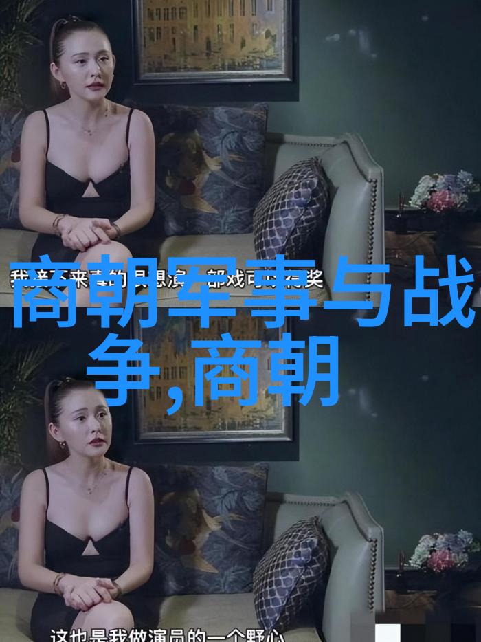 明朝历史解说我是怎么明白明朝那些事的