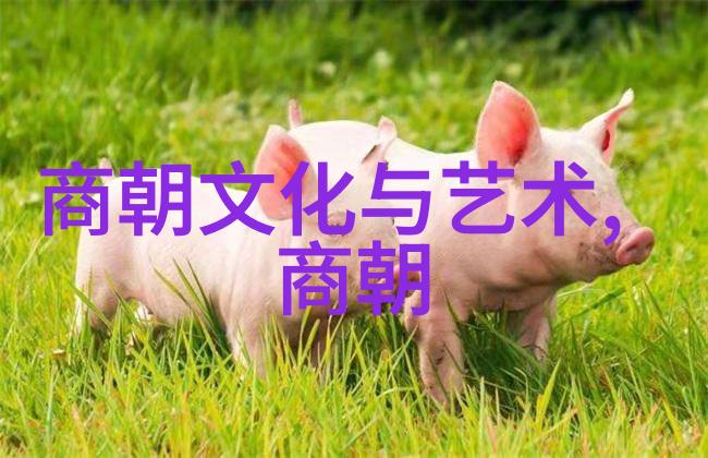 天津区号连接城市与时代的数字印记