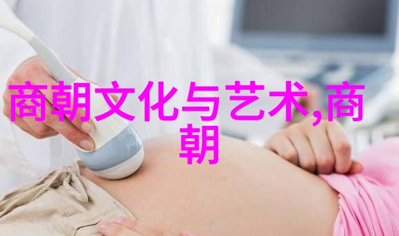 明朝三杰皇帝画家和厨师的奇妙冒险