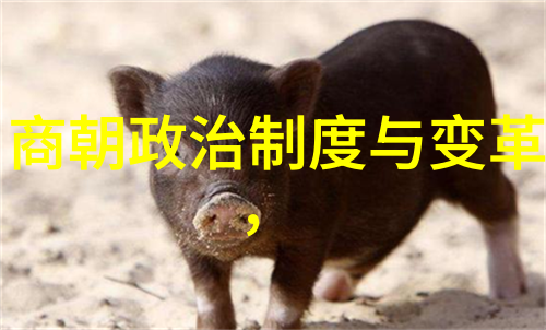 古代的智者与仙境之旅寻找失落的太平国