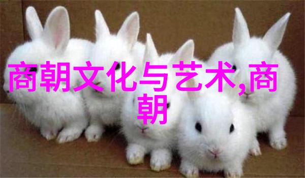 中国朝代年份从黄帝时代到清朝末期的漫长岁月我亲眼见证了历史的变迁