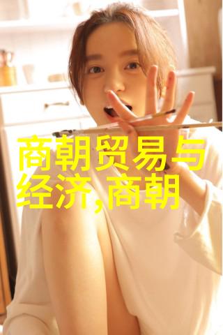 长城下的内陆帝国唐朝对外交往的探索