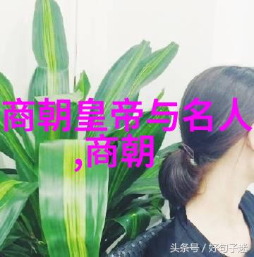 明朝继承与变革的历史探究