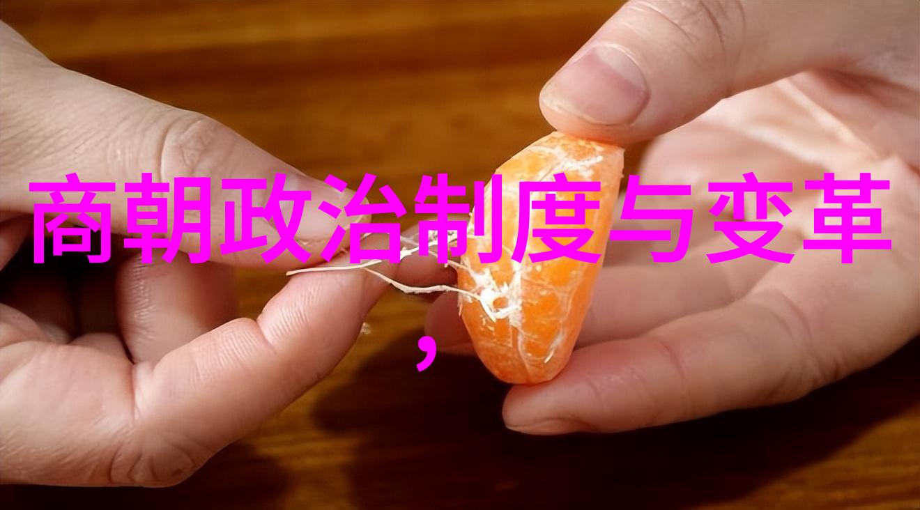 明朝军事征服与边疆管理策略分析